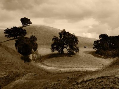 Bán nhà phố Đống Đa 5 tầng mặt tiền kinh doanh sầm uất