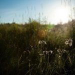 Vinhomes Smart City — Nam Từ Liêm