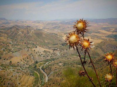 Bán biệt thự Tây Hồ view trực diện Hồ Tây 500m2